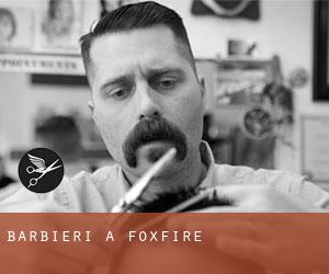 Barbieri a Foxfire