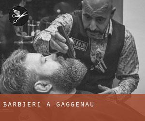 Barbieri a Gaggenau Barbieri a Gaggenau