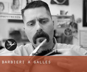 Barbieri a Galles Barbieri a Galles