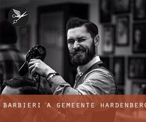 Barbieri a Gemeente Hardenberg