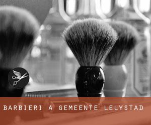 Barbieri a Gemeente Lelystad Barbieri a Gemeente Lelystad