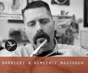Barbieri a Gemeente Maasgouw Barbieri a Gemeente Maasgouw
