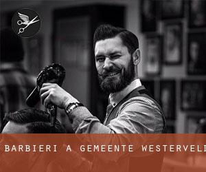 Barbieri a Gemeente Westerveld Barbieri a Gemeente Westerveld