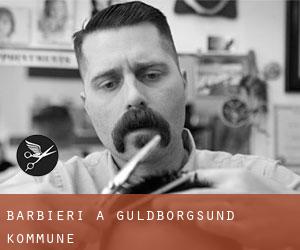 Barbieri a Guldborgsund Kommune Barbieri a Guldborgsund Kommune
