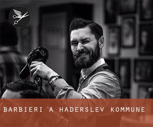Barbieri a Haderslev Kommune Barbieri a Haderslev Kommune