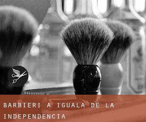 Barbieri a Iguala de la Independencia