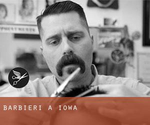 Barbieri a Iowa Barbieri a Iowa