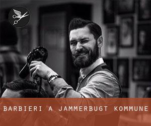 Barbieri a Jammerbugt Kommune Barbieri a Jammerbugt Kommune