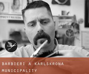 Barbieri a Karlskrona Municipality