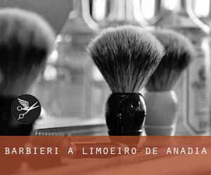 Barbieri a Limoeiro de Anadia Barbieri a Limoeiro de Anadia