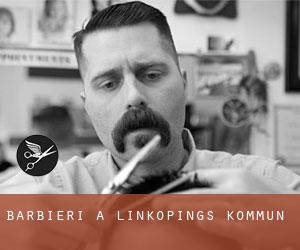 Barbieri a Linköpings Kommun
