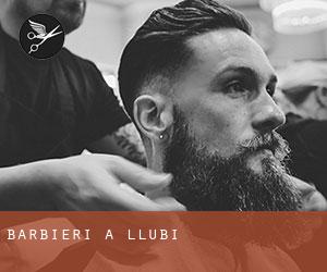 Barbieri a Llubí Barbieri a Llubí