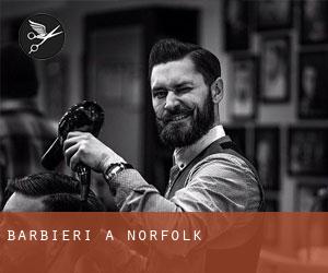 Barbieri a Norfolk Barbieri a Norfolk