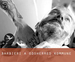 Barbieri a Odsherred Kommune Barbieri a Odsherred Kommune