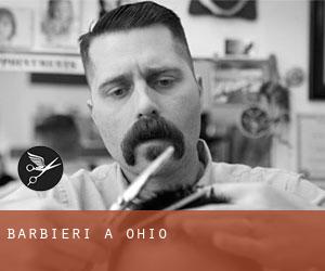 Barbieri a Ohio Barbieri a Ohio