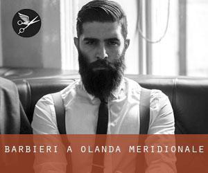 Barbieri a Olanda Meridionale Barbieri a Olanda Meridionale