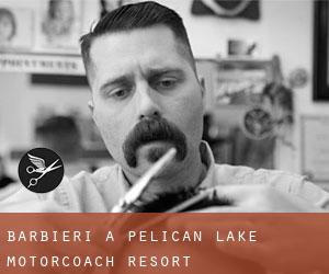 Barbieri a Pelican Lake Motorcoach Resort