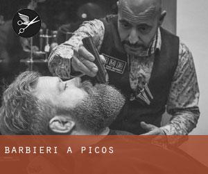 Barbieri a Picos
