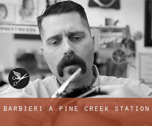 Barbieri a Pine Creek Station
