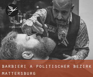 Barbieri a Politischer Bezirk Mattersburg