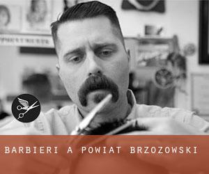 Barbieri a Powiat brzozowski