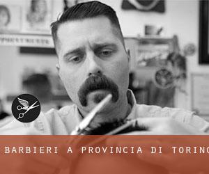 Barbieri a Provincia di Torino Barbieri a Provincia di Torino