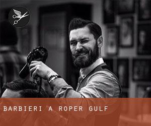 Barbieri a Roper Gulf