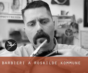 Barbieri a Roskilde Kommune Barbieri a Roskilde Kommune
