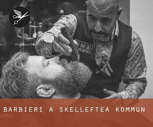 Barbieri a Skellefteå Kommun