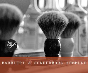 Barbieri a Sønderborg Kommune Barbieri a Sønderborg Kommune