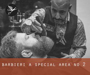 Barbieri a Special Area No. 2