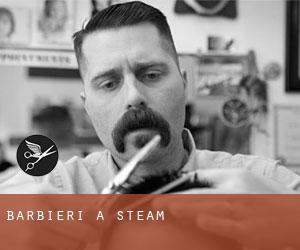Barbieri a Steam
