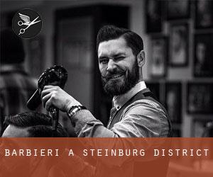 Barbieri a Steinburg District