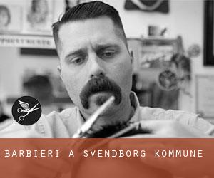 Barbieri a Svendborg Kommune Barbieri a Svendborg Kommune