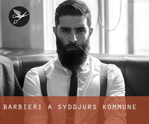 Barbieri a Syddjurs Kommune Barbieri a Syddjurs Kommune
