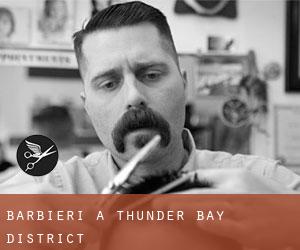 Barbieri a Thunder Bay District