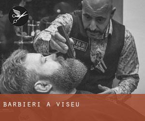Barbieri a Viseu Barbieri a Viseu
