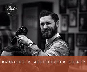 Barbieri a Westchester County
