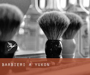 Barbieri a Yukon Barbieri a Yukon