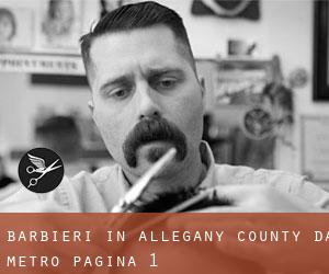 Barbieri in Allegany County da metro - pagina 1