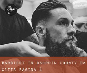 Barbieri in Dauphin County da città - pagina 1