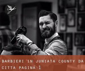 Barbieri in Juniata County da città - pagina 1
