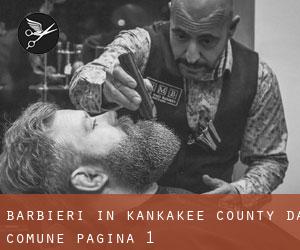 Barbieri in Kankakee County da comune - pagina 1