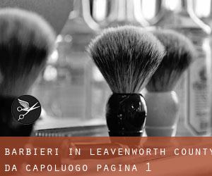 Barbieri in Leavenworth County da capoluogo - pagina 1