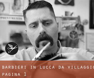 Barbieri in Lucca da villaggio - pagina 1