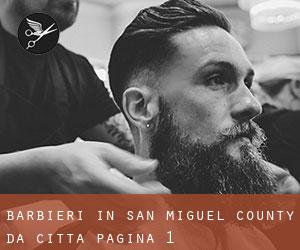 Barbieri in San Miguel County da città - pagina 1