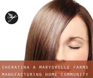 Cheratina a Marysville Farms Manufacturing Home Community