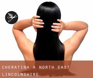 Cheratina a North East Lincolnshire