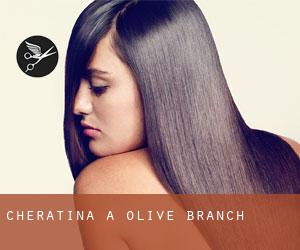 Cheratina a Olive Branch
