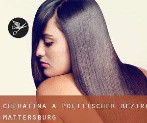 Cheratina a Politischer Bezirk Mattersburg